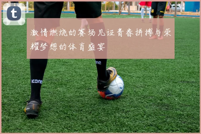 激情燃烧的赛场见证青春拼搏与荣耀梦想的体育盛宴