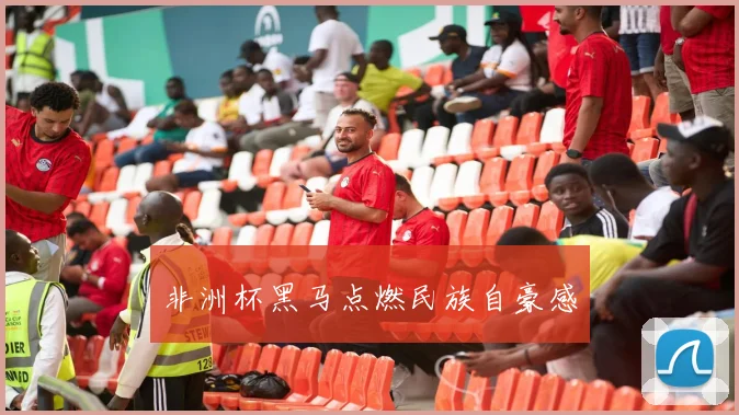 非洲杯黑马点燃民族自豪感