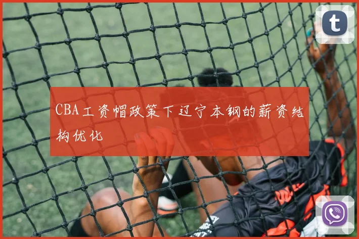 CBA工资帽政策下辽宁本钢的薪资结构优化