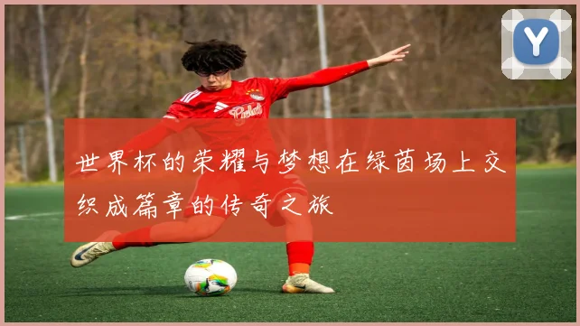 世界杯的荣耀与梦想在绿茵场上交织成篇章的传奇之旅