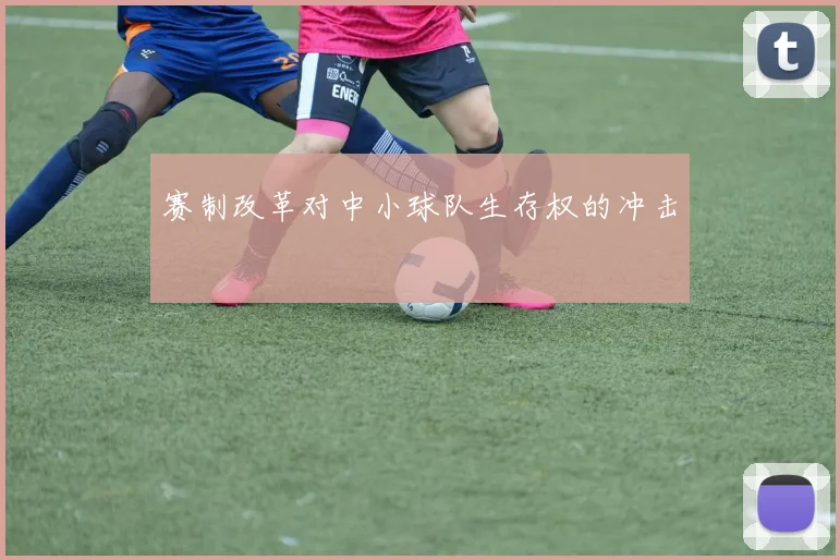 赛制改革对中小球队生存权的冲击