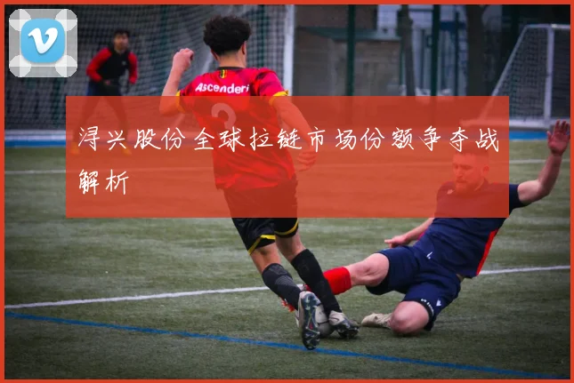 浔兴股份全球拉链市场份额争夺战解析